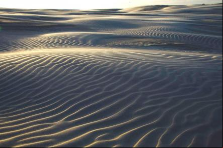 Dunas dos lenc