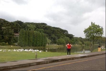Lago de S