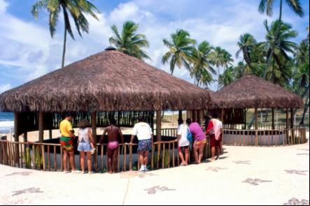 Praia de Arembepe - Camping Foto: Jota Freitas - Setur